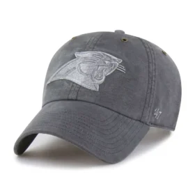 Carolina Panthers '47 Teñido Clean Up