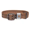 Collar ancho de nailon para perros