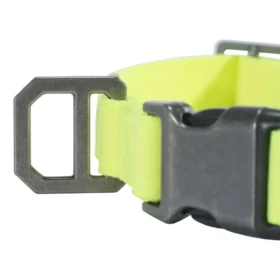 Collar para perro de nailon Duck