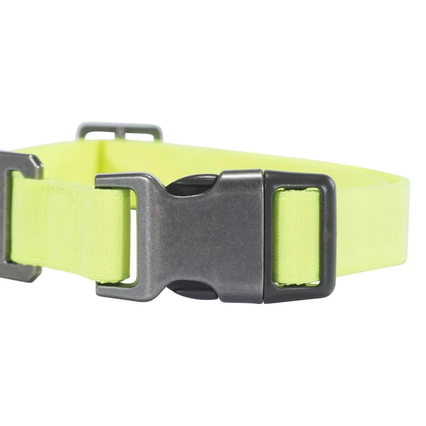 Collar para perro de nailon Duck