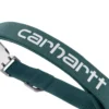 Collar para perros de campo