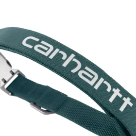 Collar para perros de campo