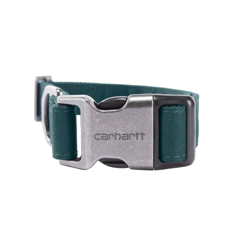 Collar para perros de campo