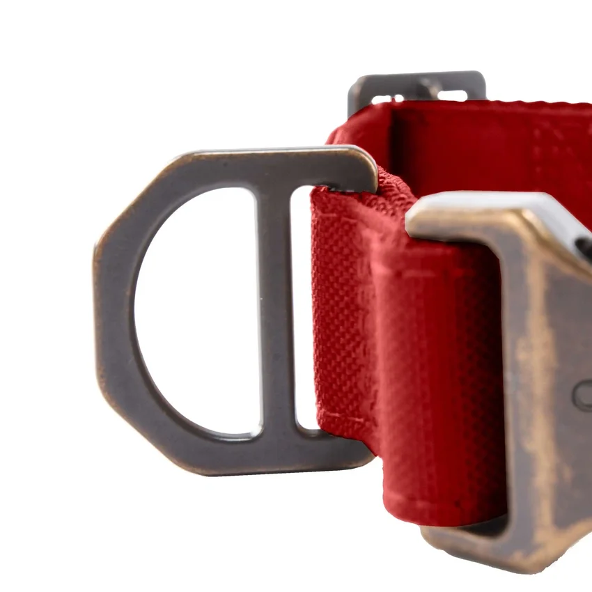 Collar para perros de campo