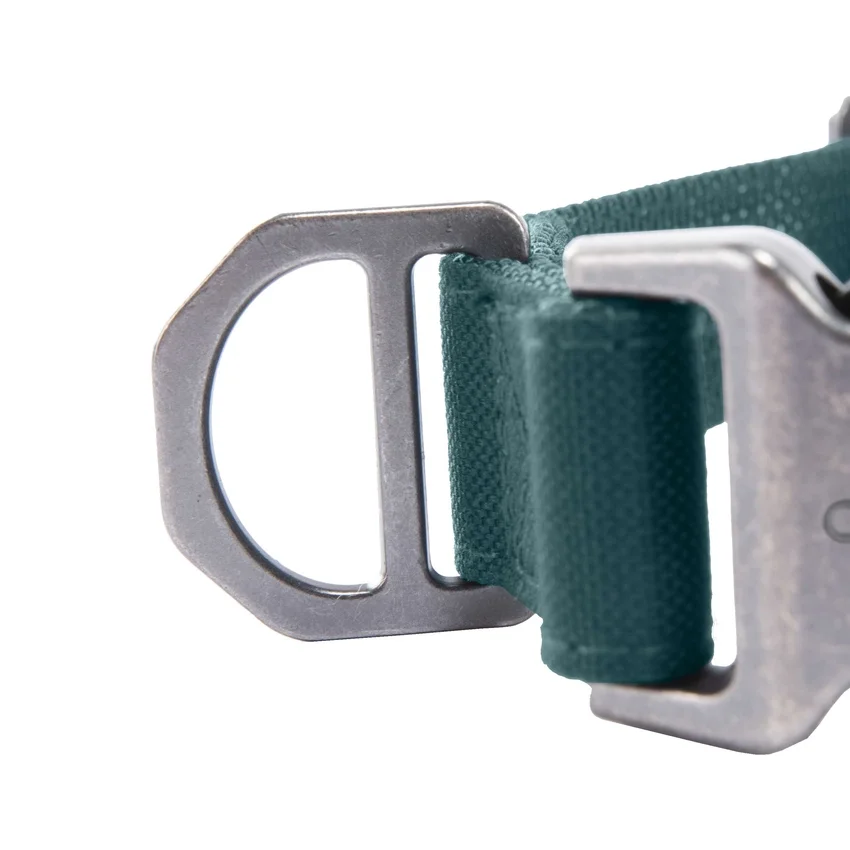 Collar para perros de campo