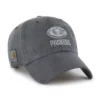 Green Bay Packers '47 Teñido Clean Up