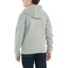 Sudadera con estampado y manguitos largos para niño (niños pequeños/niños/jóvenes)